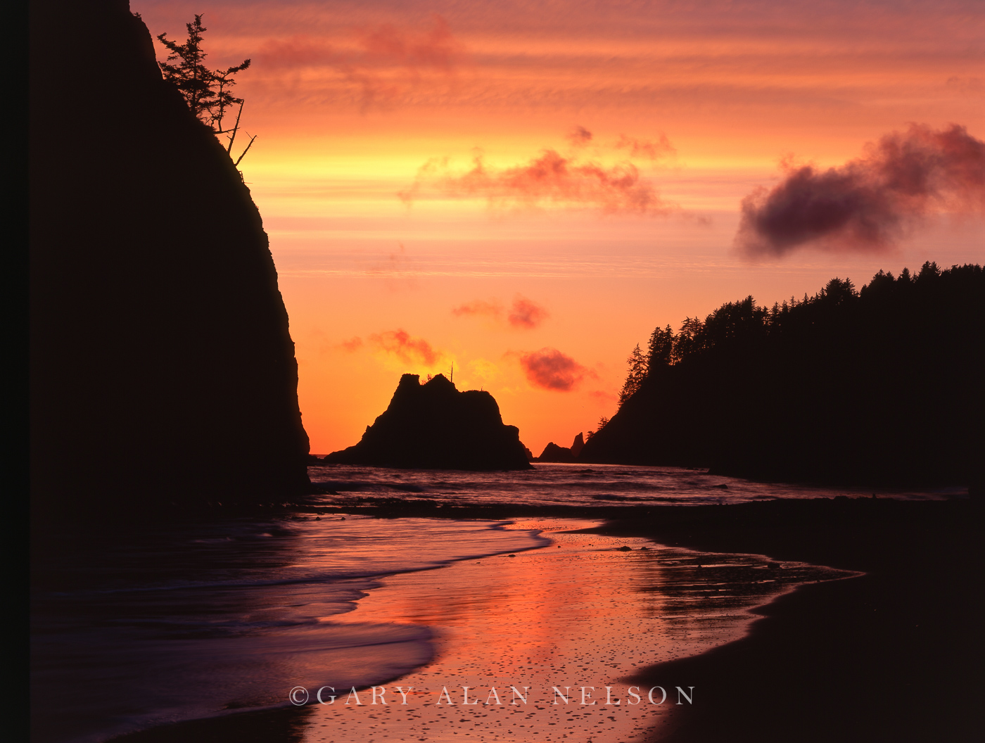 Pacific Coast At Sunset Olympic National Park Washington Gary Alan