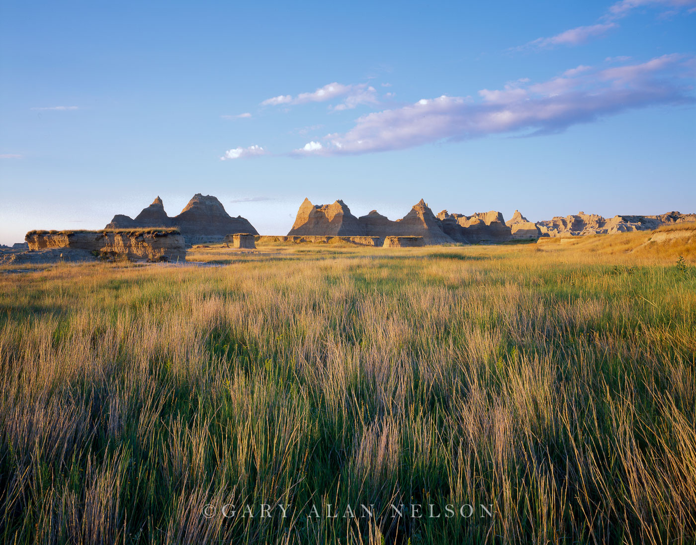 Bluestem In The Badlands Badlands National Park South Dakota Gary