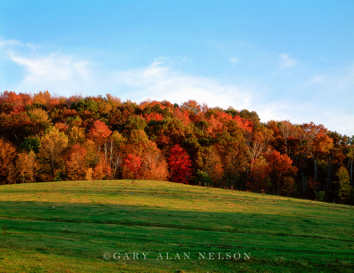 Autumn in Vernon County | The Driftless Area, Vernon County, Wisconsin ...